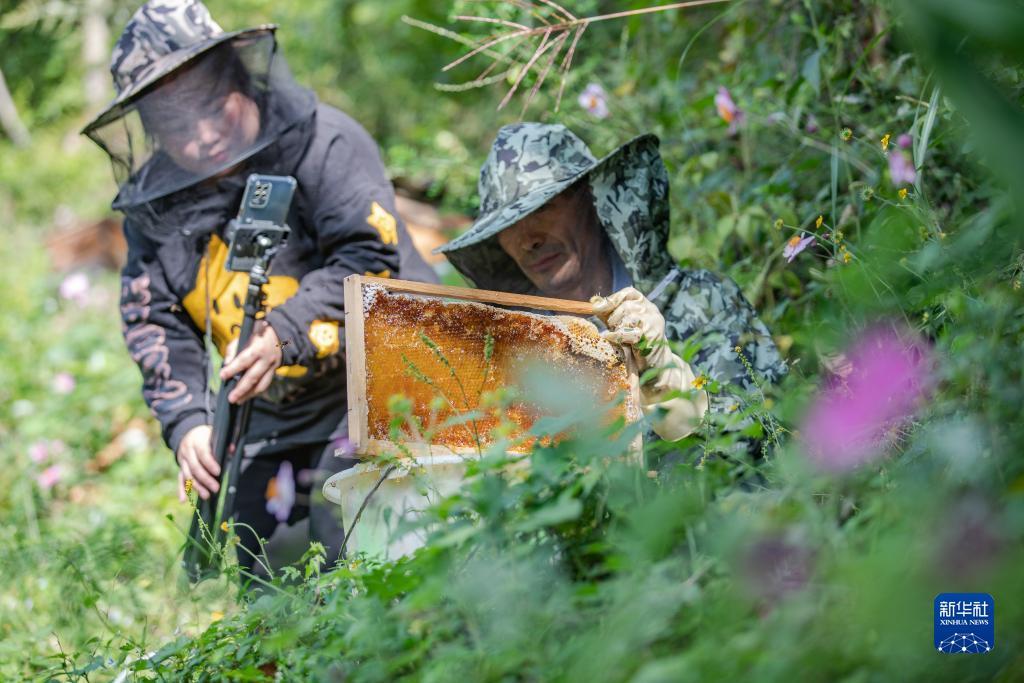 银河十大炸金花